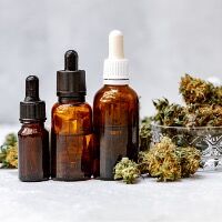 Medical VS Recreational Cannabis Use: 6 Key Differences